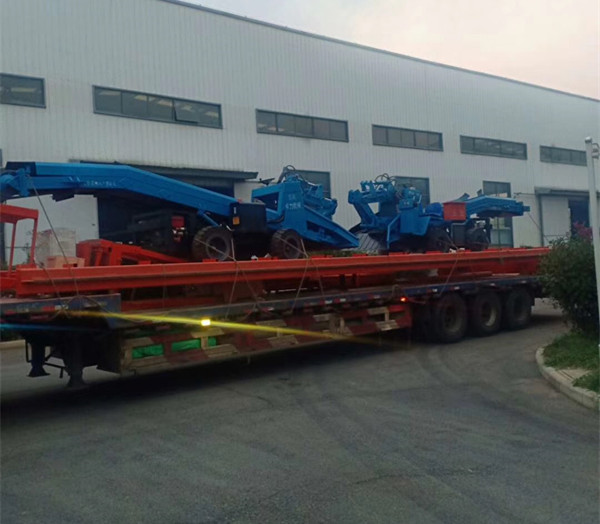 1574401433470885.jpg 微信圖片_20191120092309_副本.jpg